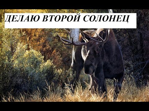 Видео: Делаю второй солонец.