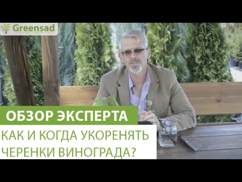 Видео: Как и когда укоренять черенки винограда?