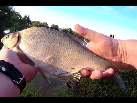 Видео: Мормышинг. Всего по немножку.