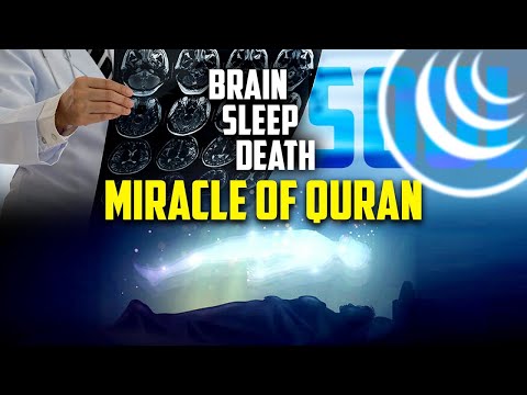 Видео: СМЕРТЬ МОЗГА | из серии Доказательства сотворения
