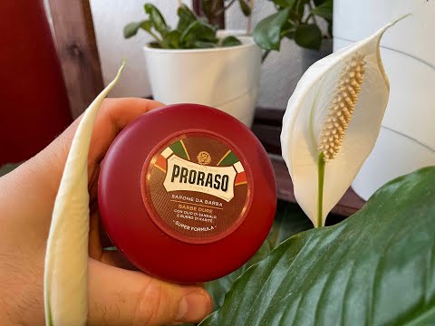 Видео: Мыло Proraso сандал красное