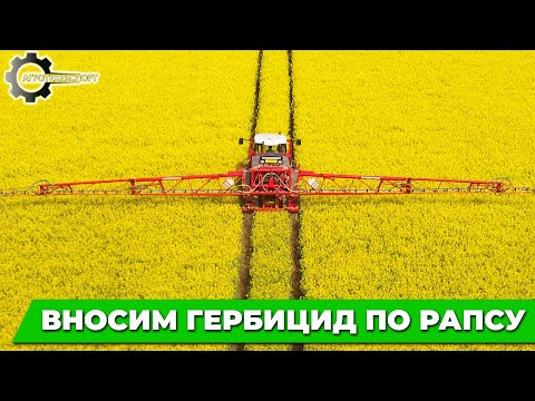 Видео: Вносим гербицид по рапсу | Опрыскивание фунгицидом с добавлением мильтимикса | Борьба с вредителями