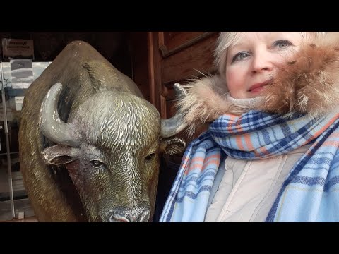 Видео: Польша Краков. Моя мечта. Контроля 🤣 дома и в автобусе 9.02.25.Poland Krakow. My dream. Monitoring 🤣
