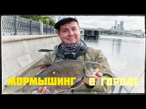 Видео: Мормышинг в городе ! Набережные это круто 🤟