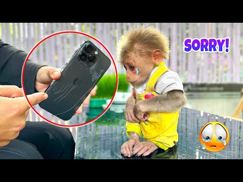 Видео: Что происходит? Почему Каки так напуган?😱😱