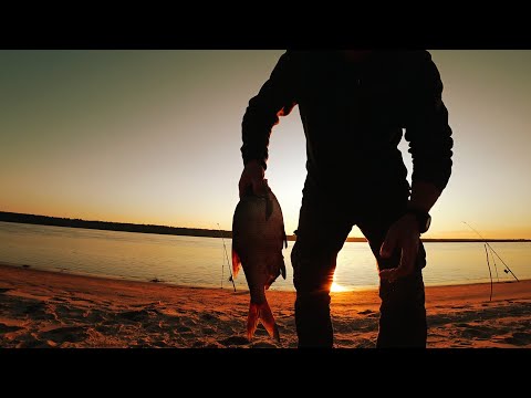 Видео: Я Его Ждал и Он Клюнул!!! Рыбалка на Донки-Крокодилы!