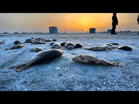 Видео: Рыбалка на Чанах. Жор карася, закрытие сезона твердой воды в Сибири