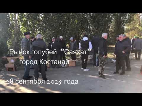 Видео: Рынок голубей город Костанай 28 сентября 2025года