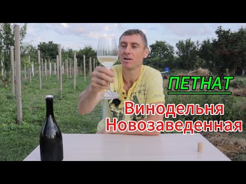Видео: ПЕТНАТ от Константина Борисова!