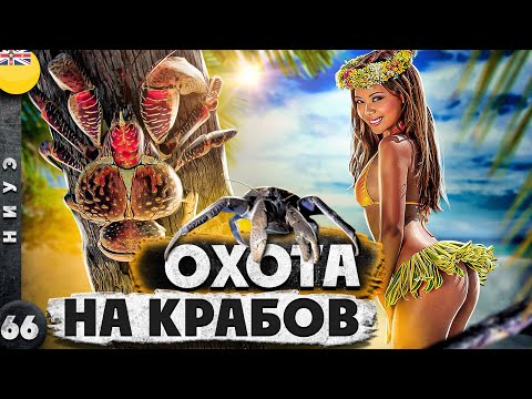 Видео: НИУЭ | ОСТРОВ, с которого ВСЕ хотят УЕХАТЬ | ОХОТА на пальмовых ВОРОВ