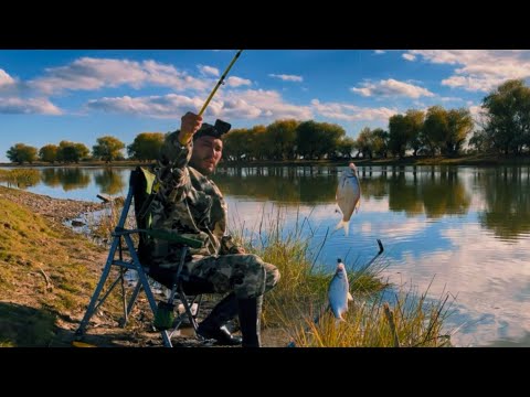 Видео: ПРОСТАЯ РЫБАЛКА НА ПРОСТУЮ СНАСТЬ. ХОРОШИЙ КЛЕВ ГУСТЕРЫ! НАЛОВИЛ И ЗАСОЛИЛ!