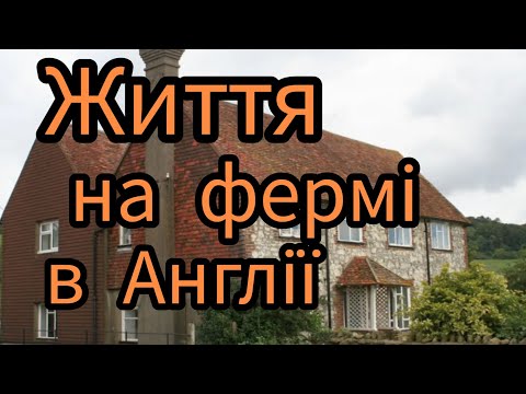 Видео: Як живуть та працюють на молочній фермі .