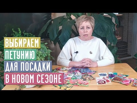 Видео: ПЕТУНИЯ  Самые обильно цветущие серии / Садовый гид