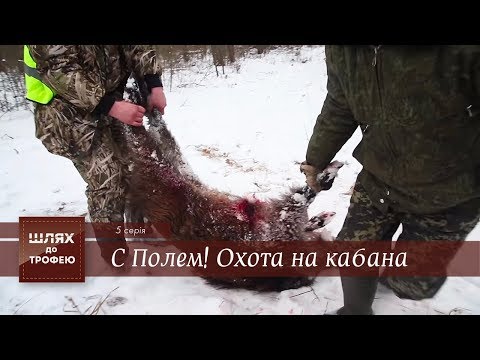 Видео: С Полем! Охота на кабана [Шлях до Трофею №5]
