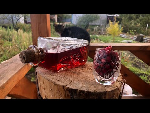 Видео: Настойка из клюквы (Клюковка) - классический рецепт в домашних условиях