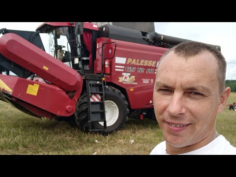 Видео: Вот это Лом попался!Уборка комбайном Палесье GS-12A1 в разгаре!