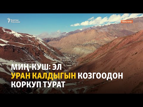 Видео: Миң-Куш: эл уран калдыгын козгоодон коркуп турат