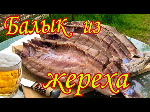 Видео: Балык из жереха. Вяленая рыба