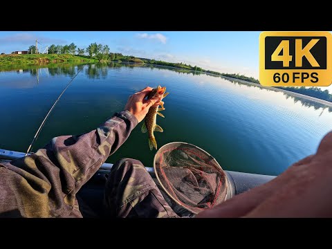 Видео: Микроджиг на Shimano 17 Soare Ci4 Ajing S604l-s Light Game и  XESTA Black Star Extra Tuned S64UL-S