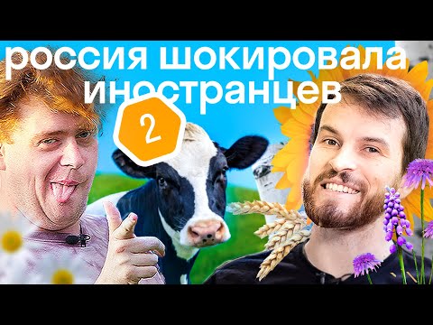 Видео: «Я стал русским!» Иностранцы 24 часа в русской деревне: баня, застолье, сельские танцы | ИНТУРИСТЫ#2