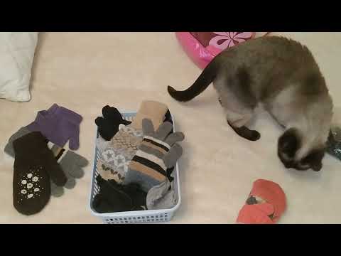 Видео: 27. Предновогоднее расхламление  одежды-2023.