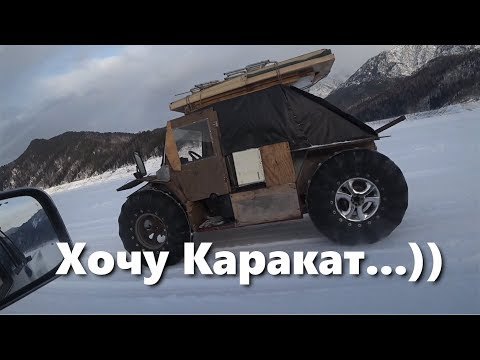 Видео: Хочу Каракат! Реальная рыбалка!