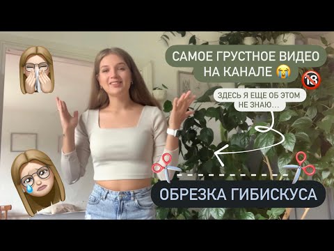 Видео: 🆘 Треш-обрезка и формирование гибискуса 🥵 | Мое фиаско 😭 | Слабонервным не смотреть ❌