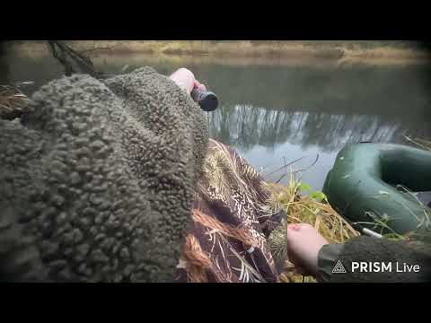Видео: Рыбалка С Димоном!