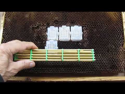 Видео: Разборной, универсальный Банк Маток.