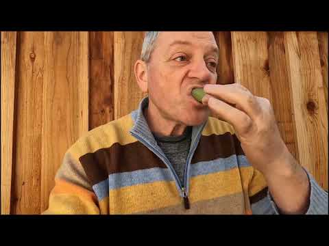 Видео: Кремниевая Долина - обзор дома за три миллиона - фига не в кармане. А где? Смотрите и увидете сами.