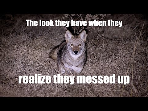 Видео: Ночной экипаж, сезон 4, эпизод 3, «Второй раунд наземного боя»