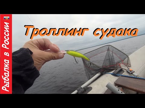 Видео: Троллинг.  Ловля судака троллингом с копиями RAPALA Tail Dancer