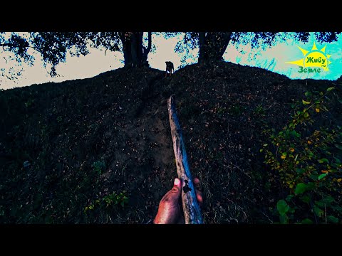 Видео: Рыбалка в Полнолуние. Меня чуть не съели. Спас осиновый кол найденный на берегу