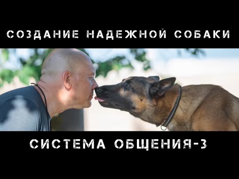 Видео: Система общения человека и собаки. Часть 3.
