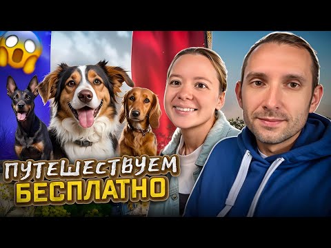 Видео: Живем БЕСПЛАТНО в Биаррице. Как мы путешествовали во Францию, Биарритц. Петситинг как начать?