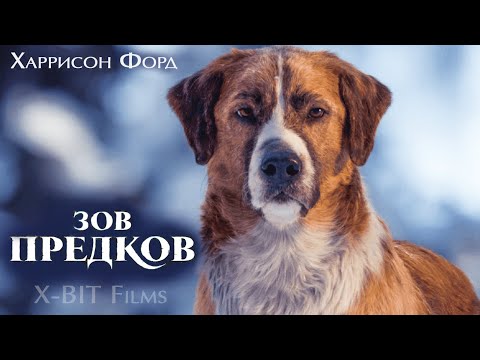 Видео: Фильм про собаку Зов предков (2020)