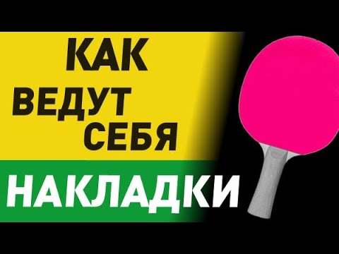 Видео: про PALIO AK47 Red и Blue и другие НЕДОРОГИЕ КИТАЙСКИЕ ТЕНЗОРЫ и о том как себя ведет накладка