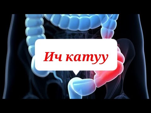 Видео: ИЧ КАТУУ БОЮНЧА / КОШУМЧАЛООЛОР