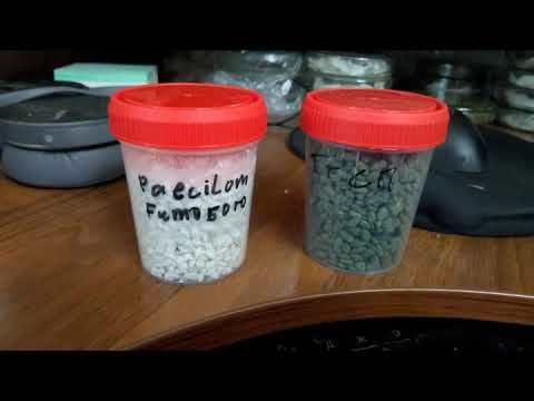 Видео: Делаем основу для грибных биопрепаратов на весь сезон