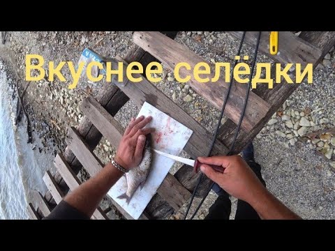 Видео: Сугудай из рыбы. Хе из леща. Вкуснее селёдки!!!