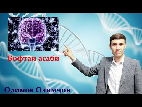 Видео: Бофтаи асаби| ММТ Биология| Олимов Олимҷон.