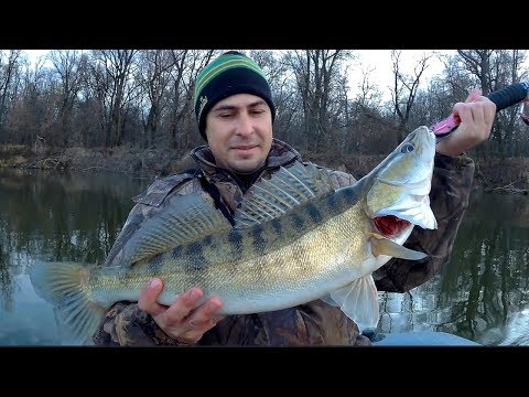 Видео: Трофейная рыбалка! Ловля Судака на джиг поздней осенью