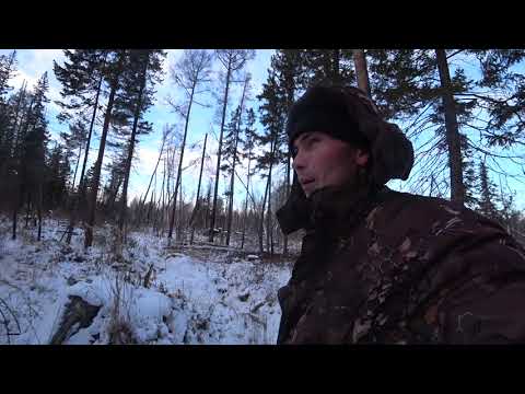 Видео: ЖИЗНЬ В СИБИРИ. Заготовка дров в деревне. Деревенские будни.