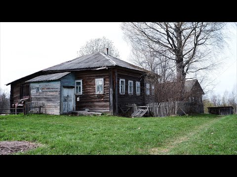 Видео: Купил дом в затерянной деревне на русском севере. Обзор деревни. Прогулка вдоль домов.