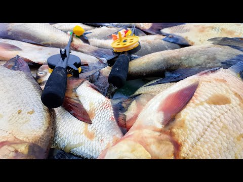 Видео: НАШЛИ ТУ САМУЮ ЯМУ ГДЕ КРУПНЯК ЖИРУЕТ НОЧЬЮ! СНАСТИ НА ИСХОДЕ. ЗИМНЯЯ РЫБАЛКА В ПАЛАТКЕ