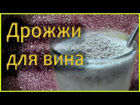 Видео: Какие ДРОЖЖИ нужны для приготовления ВИНА!