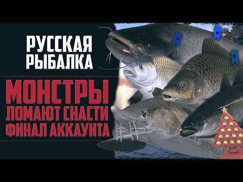 Видео: Новый Путь в РР4 #18 🔴 Речные Монстры на Крючке | Трофейная Рыбалка | Финал Аккаунта