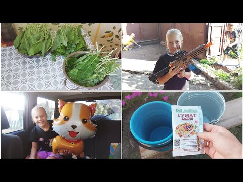 Видео: ПОДГОТОВКА К ШКОЛЕ 🔥 ГОТОВЛЮ ПИРОГ С ЩАВЕЛЕМ И ВКУСНЫЙ ЗАВТРАК // ПОЕХАЛИ НА ДЕНЬ РОЖДЕНИЯ 🎊