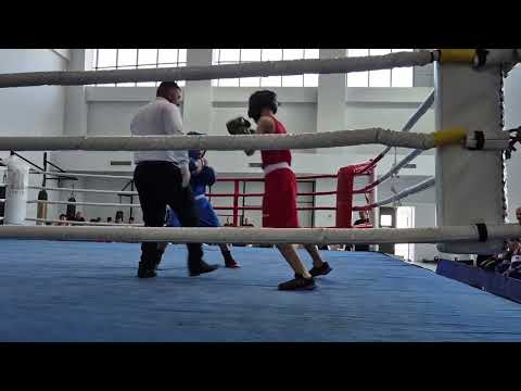 Видео: Бой Шилакадзе  Диамид красный