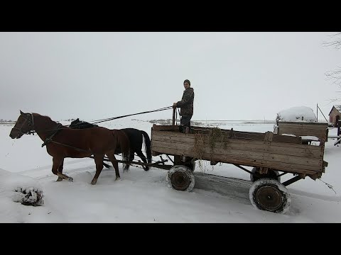 Видео: История о том, как сварщик на овцеферму пошел работать! Тяжелый труд чабана!